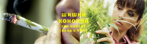 трава Арсеньев