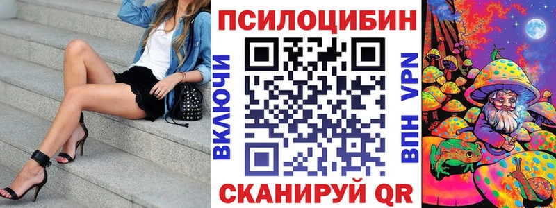 мега ссылки  Сенгилей  Галлюциногенные грибы GOLDEN TEACHER  купить наркотики сайты 